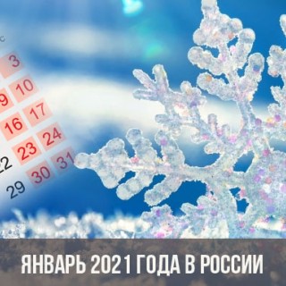 Новогодние каникулы